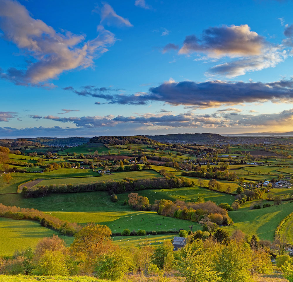 Cotswolds
