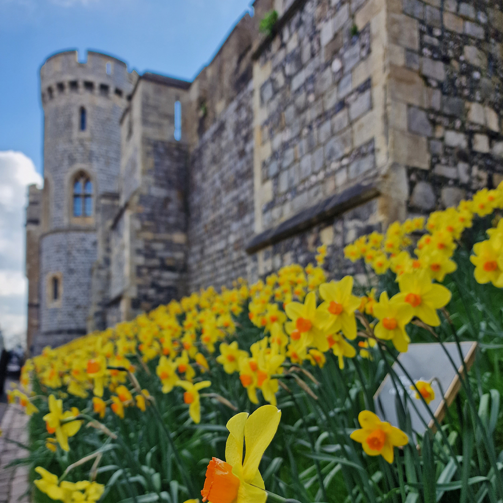 windsor castle tours 05 windsor castle tours 05