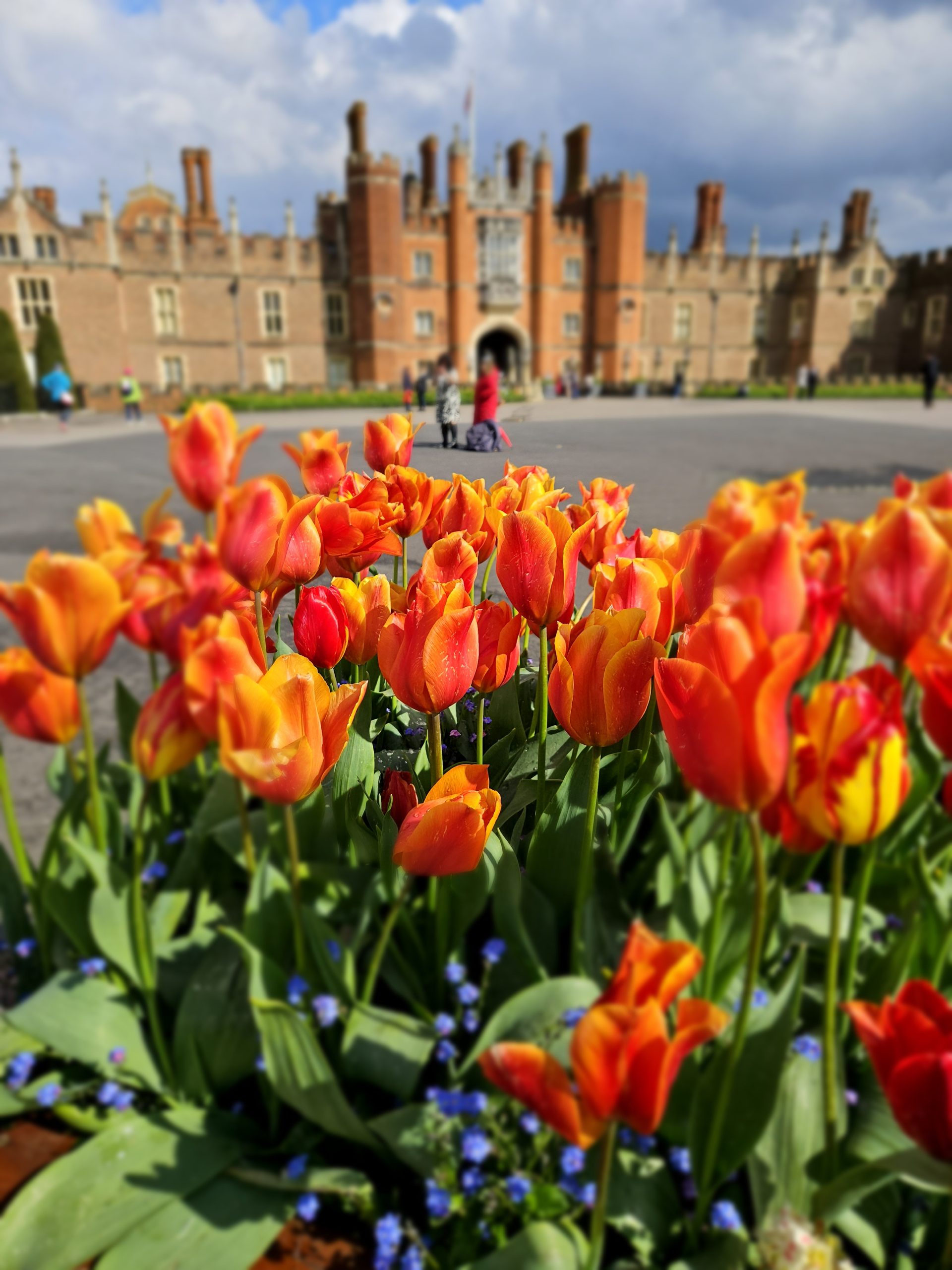 the amazing hampden court palace in spring when the flowers come out